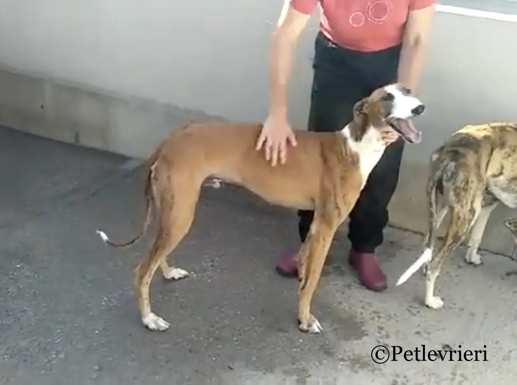 3609F384 E5BB 4311 8D1B 1BB3EF63B157