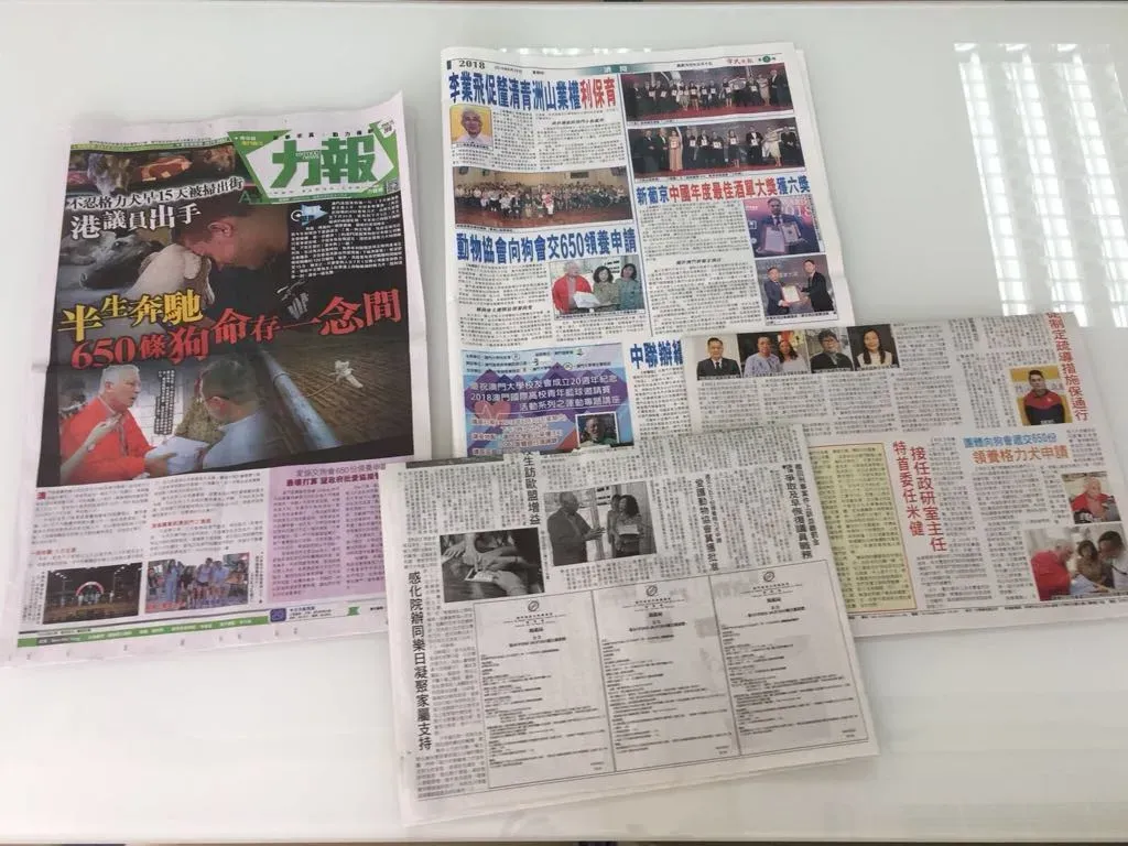 36274400 1603334319801258 3202587590268026880 n