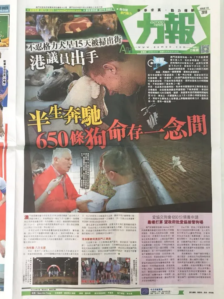 36283391 1603334209801269 3638321754843119616 n