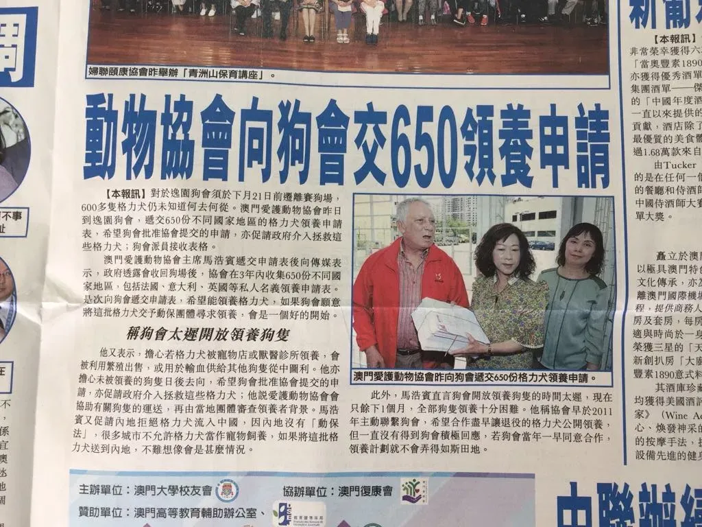 36340423 1603334246467932 98017729289650176 n