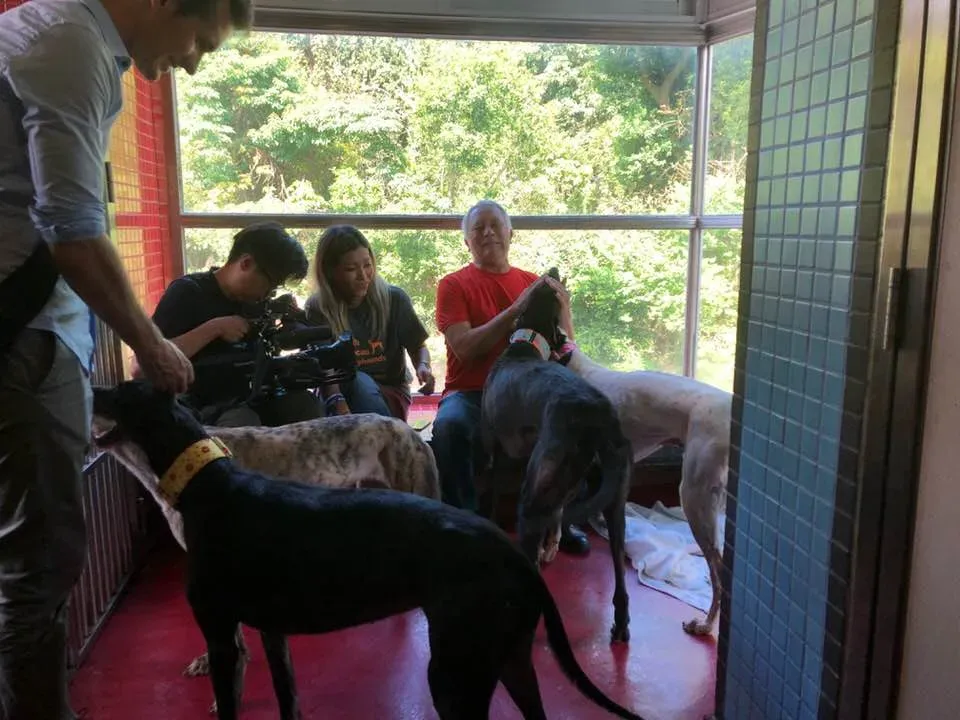 36344933 1606856202782403 6640530227191611392 n