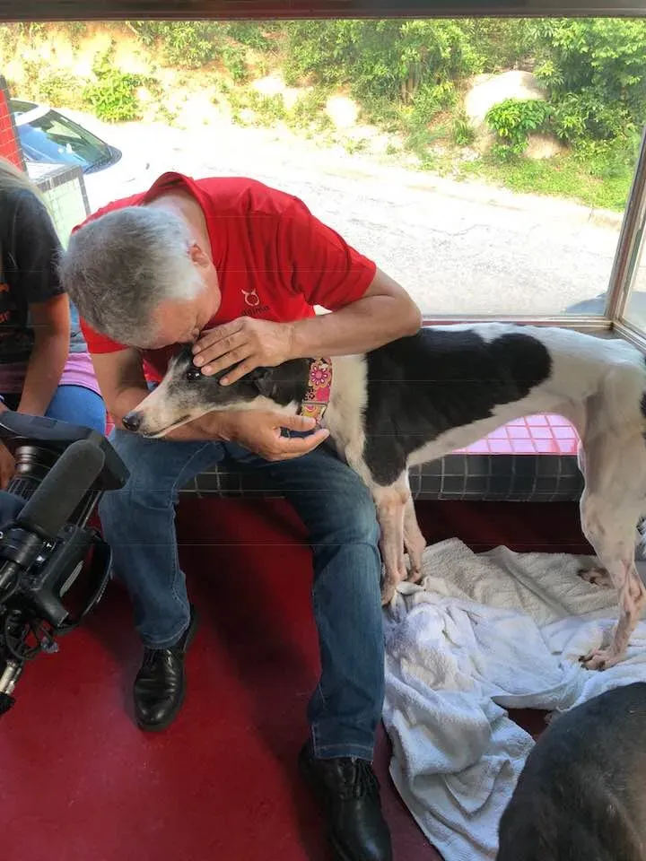 36358244 1606857332782290 5893650708795752448 n