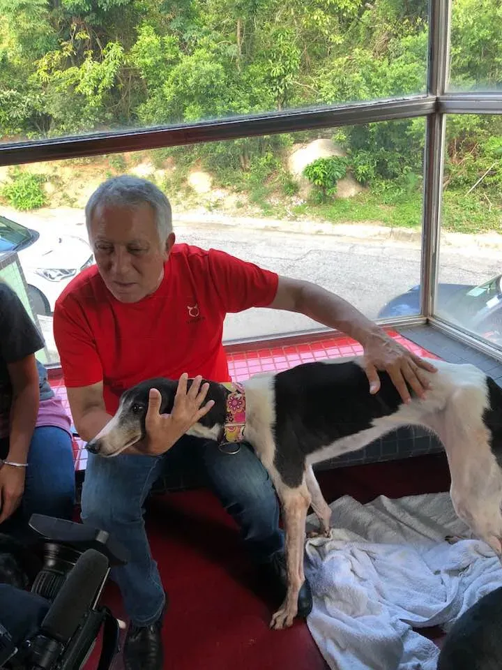 36359672 1606857179448972 1720132318988861440 n