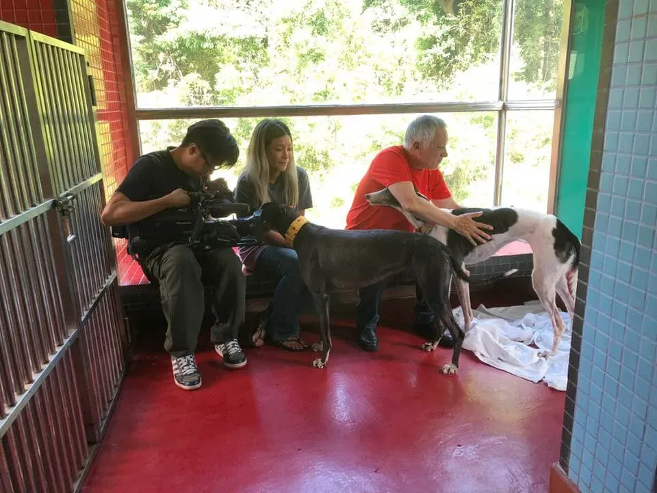 36363294 1606856642782359 8878006595527639040 n