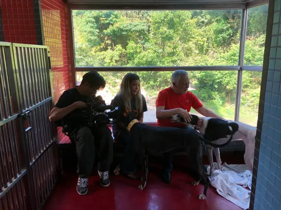 36367621 1606856542782369 6073113924394287104 n