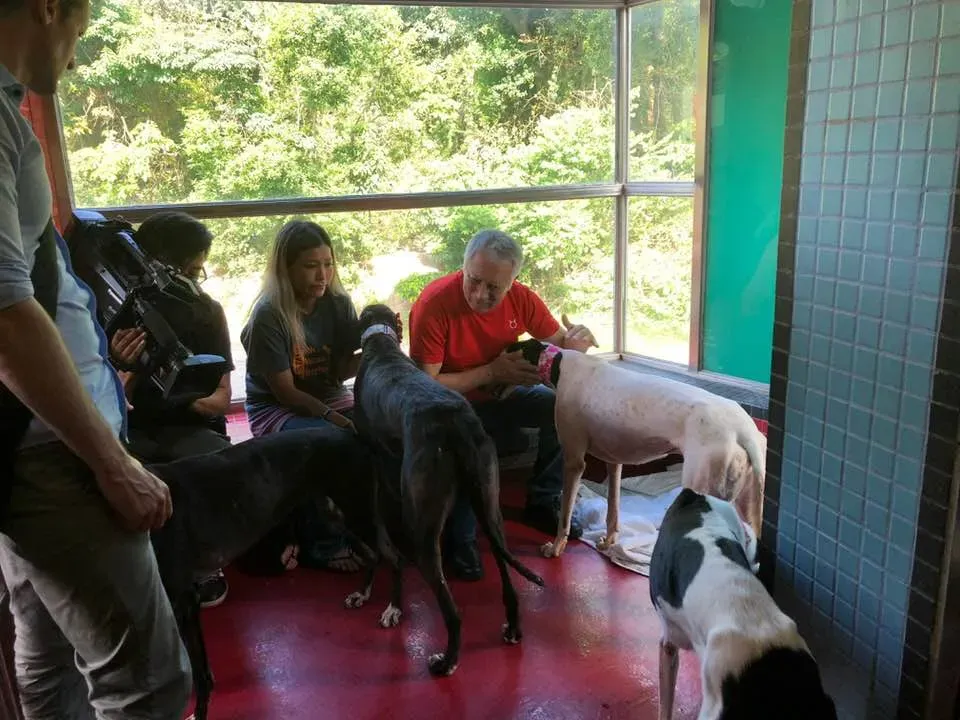 36371307 1606856982782325 2498172542376738816 n