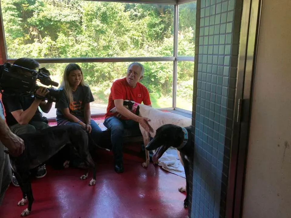 36371731 1606856906115666 8843719476466679808 n