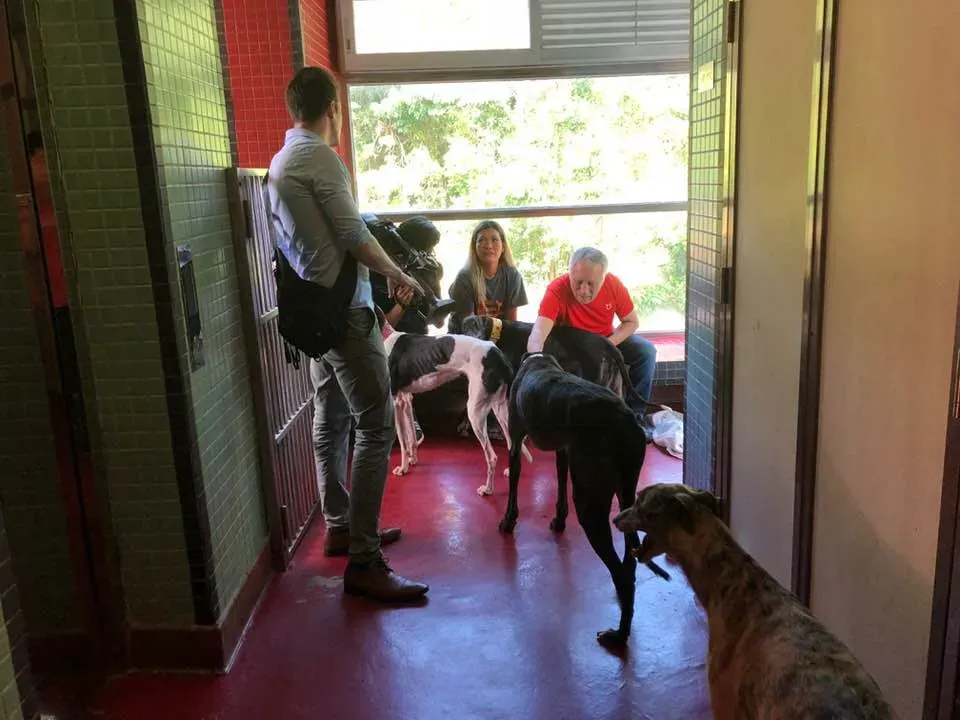 36375536 1606856836115673 5449447057691508736 n