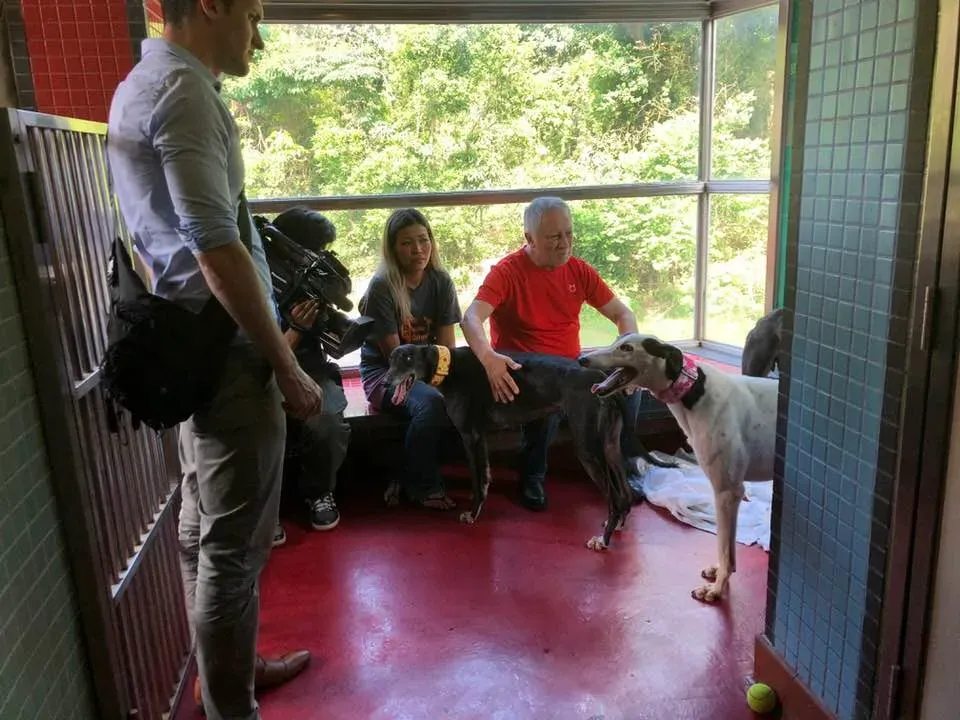 36376257 1606856876115669 8993285695300698112 n