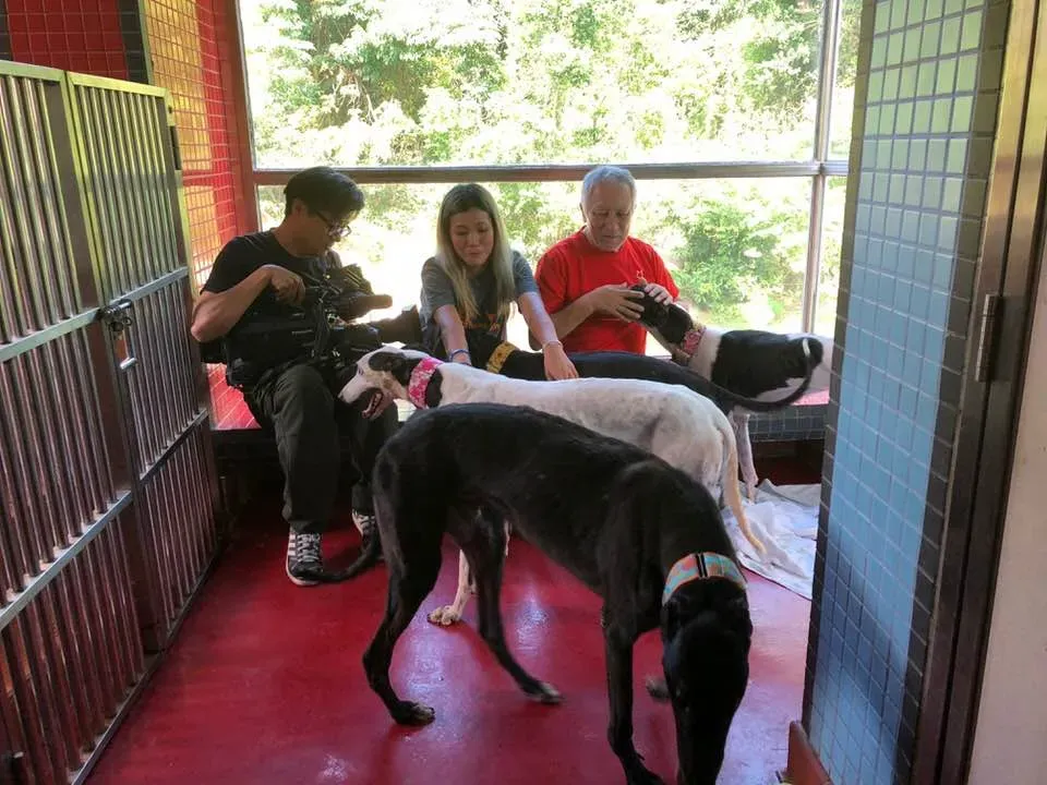 36379017 1606856422782381 7979131478766256128 n