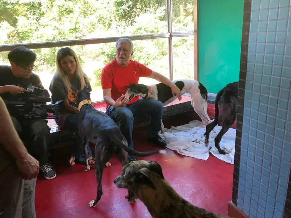 36387183 1606857106115646 2761243339410898944 n