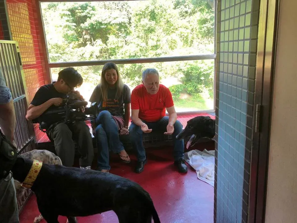 36387700 1606856242782399 3487412877692764160 n