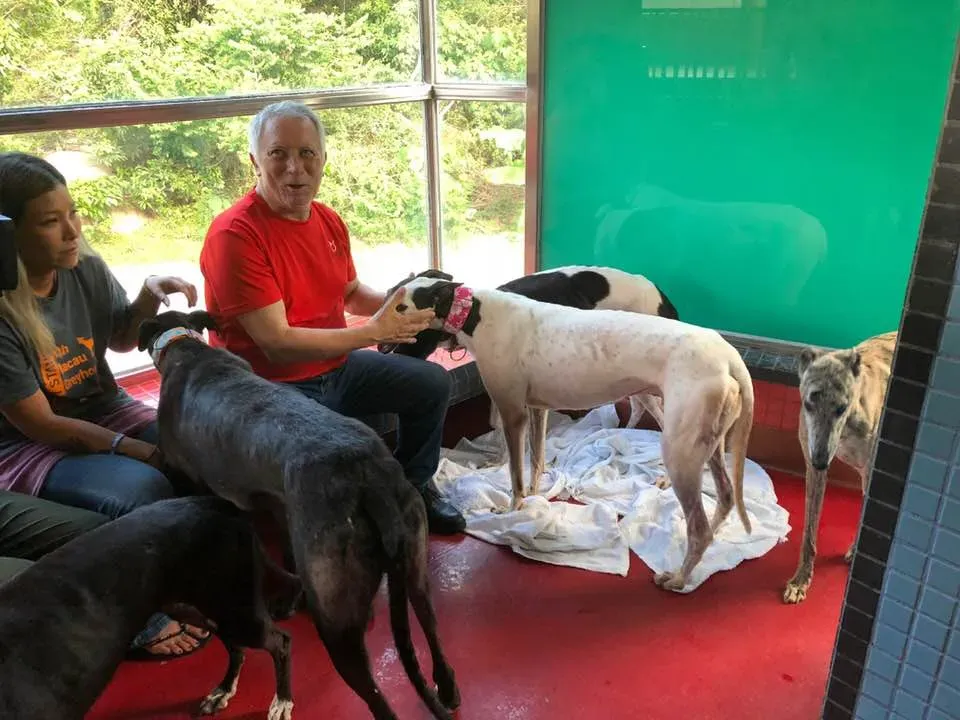 36399688 1606857066115650 1774307211099504640 n