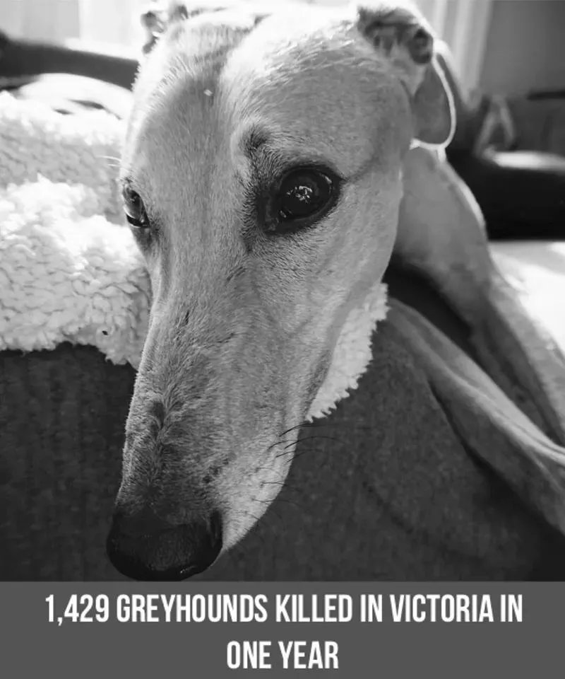 36407268 10155610487753354 4331796838131695615 n 2