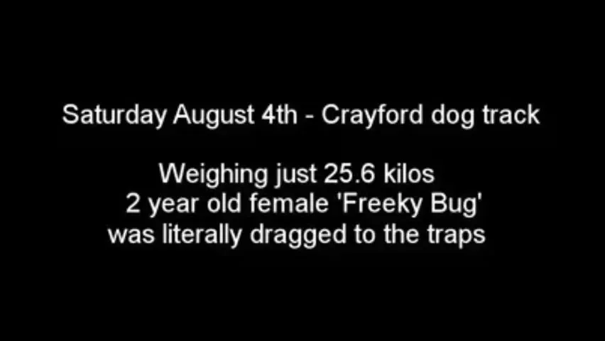 36407268 10155610487753354 4331796838131695615 n 3