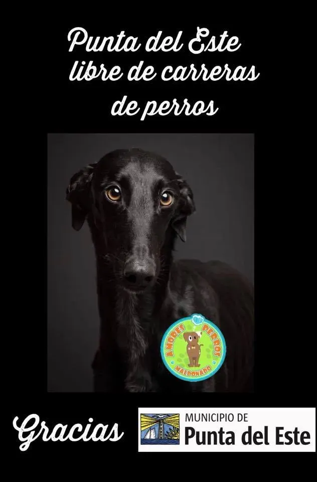 36407268 10155610487753354 4331796838131695615 n 4