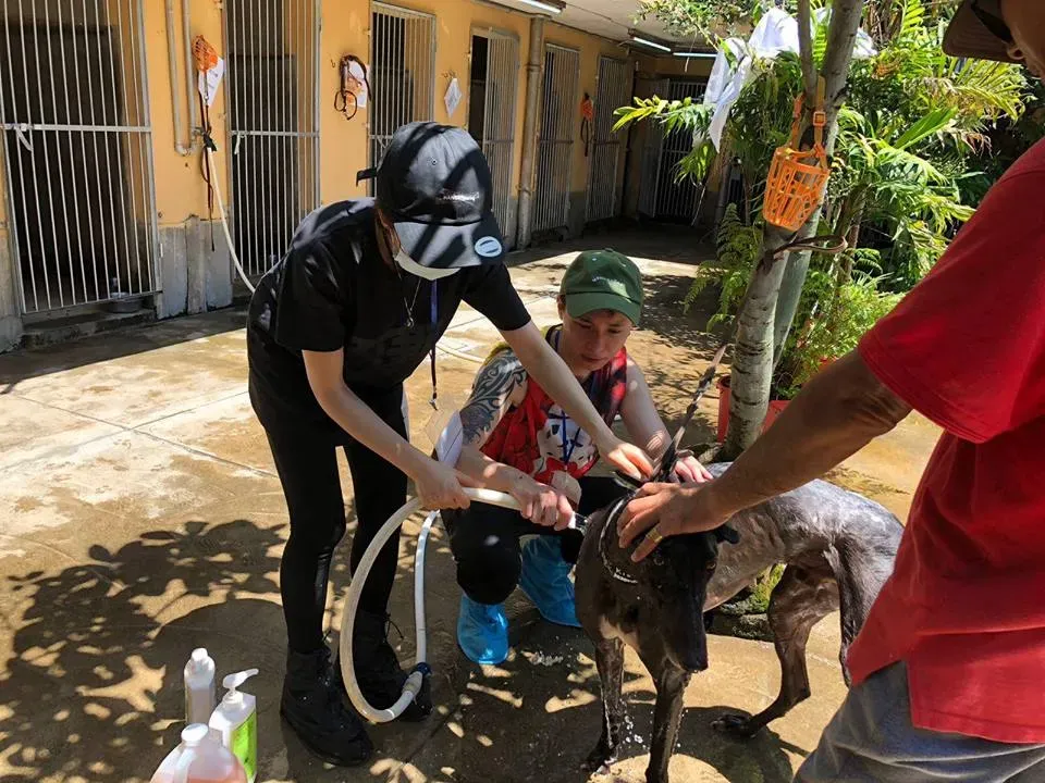 36407268 10155610487753354 4331796838131695615 n