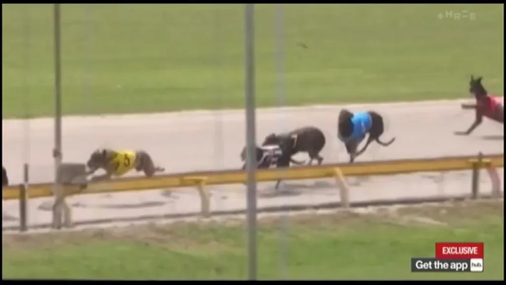 36407268 10155610487753354 4331796838131695616 n 4