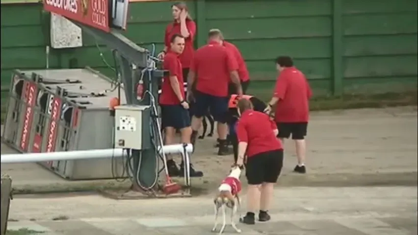 36407268 10155610487753354 4331796838131695616 n 3