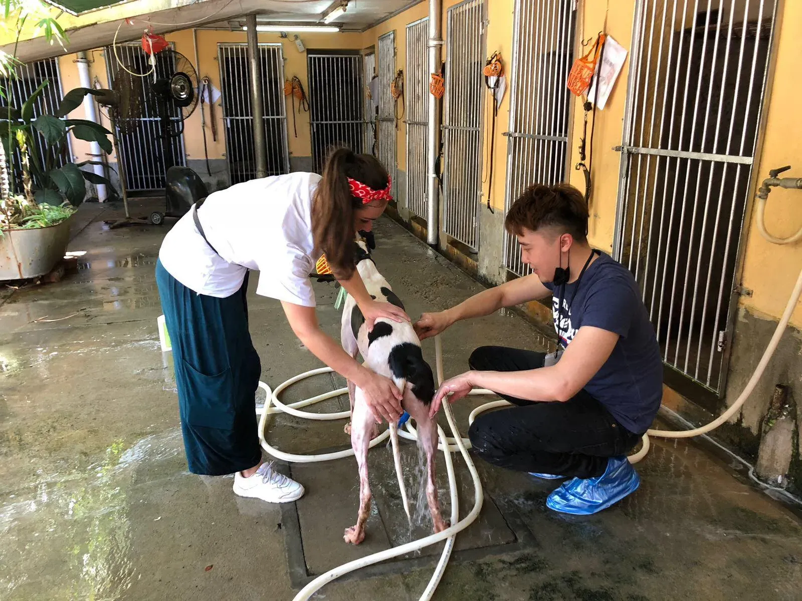 36407268 10155610487753354 4331796838131695616 n