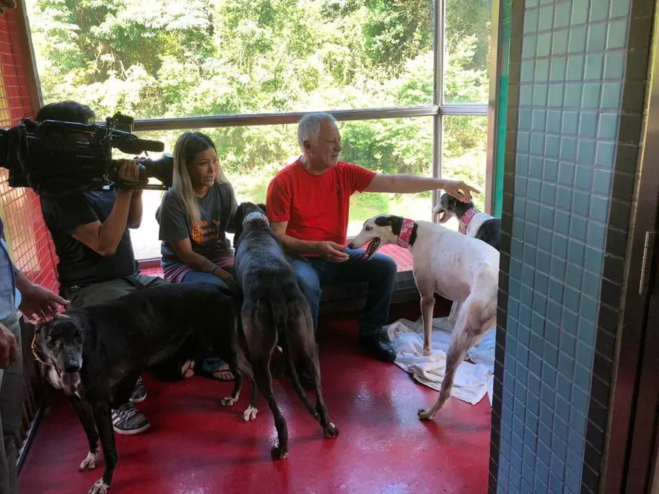 36430365 1606857039448986 967587365067423744 n