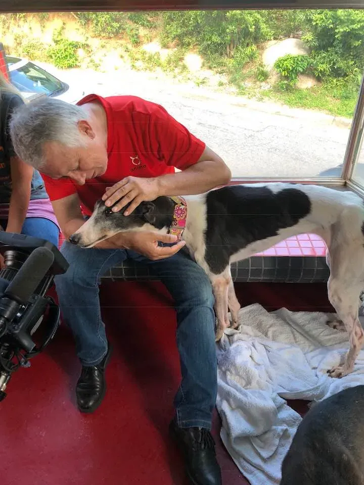 36431847 1606857276115629 9170662359952261120 n