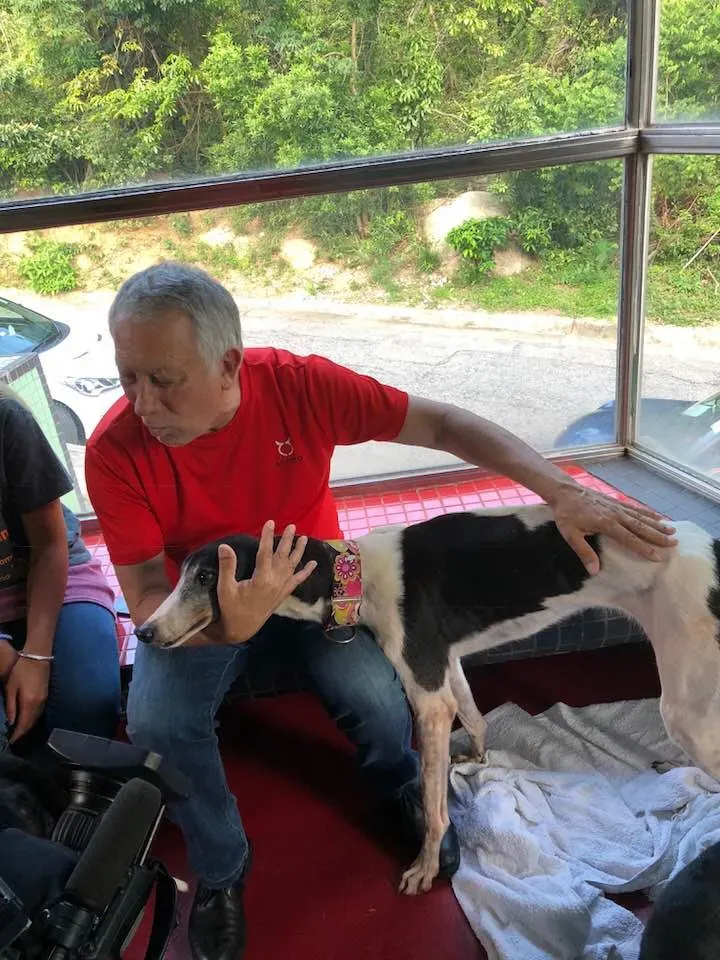 36440232 1606857222782301 4962342210923134976 n