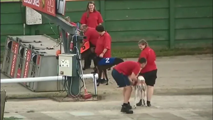 36441884 10155610487693354 862682028653412352 n 2