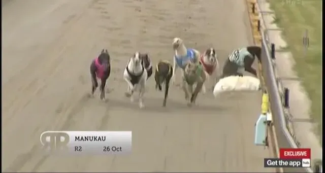 36441884 10155610487693354 862682028653412352 n 6