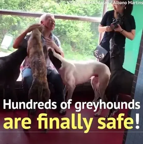 36441884 10155610487693354 862682028653412352 n 8