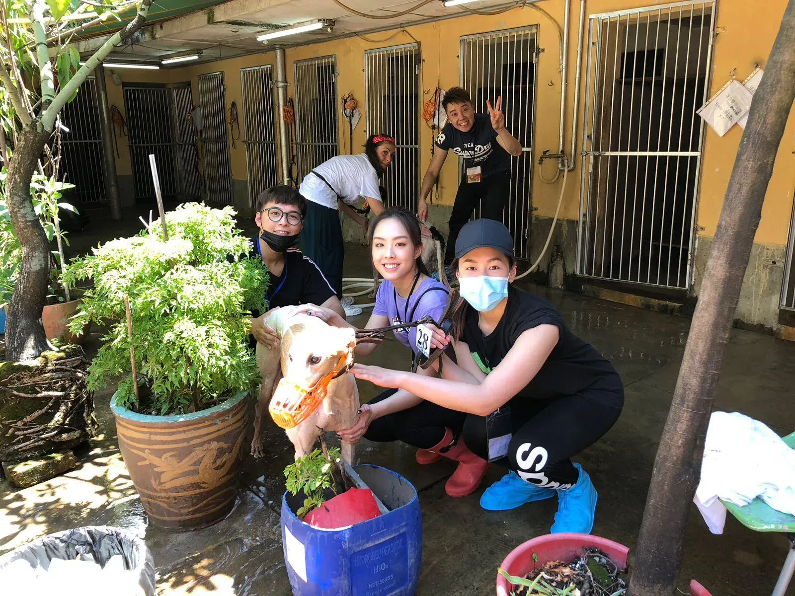 36441884 10155610487693354 862682028653412352 n 1