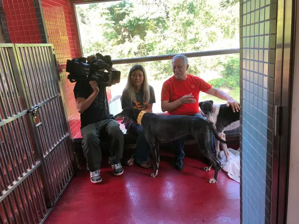 36449926 1606856706115686 4990118580470153216 n