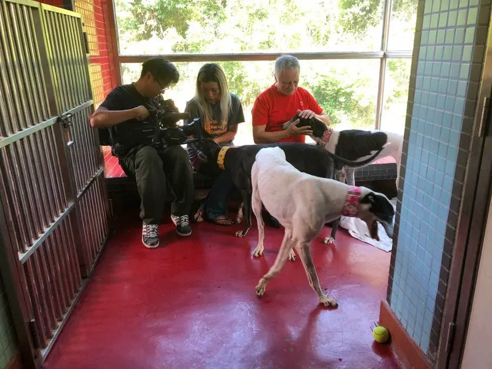 36454474 1606856482782375 54593651422003200 n