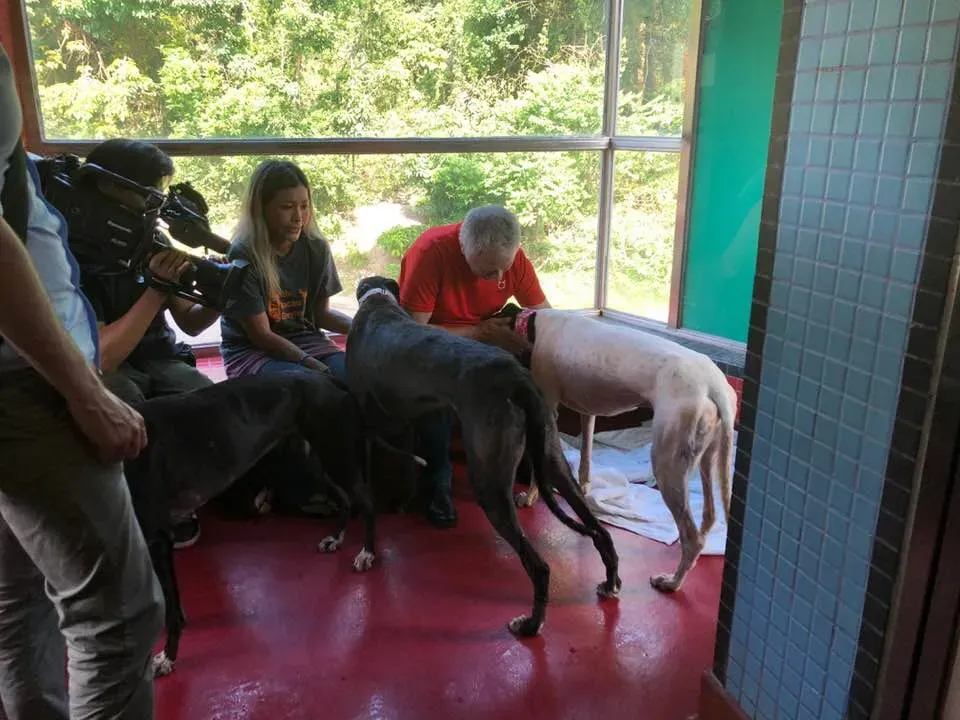 36455632 1606856942782329 9017343585242054656 n