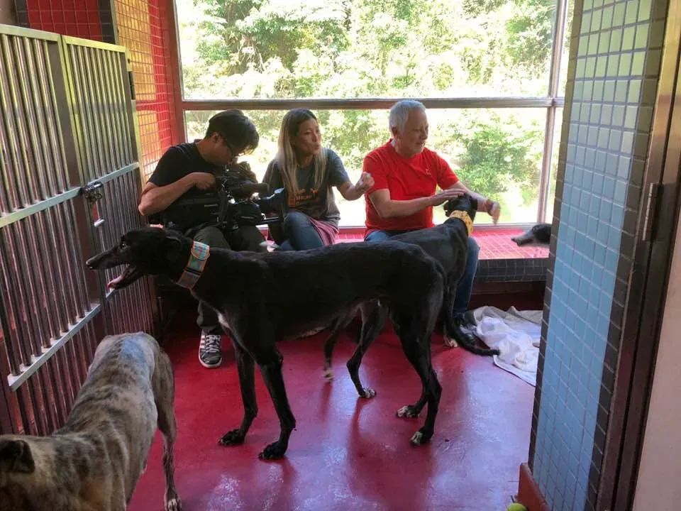 36461270 1606856286115728 5373889207041261568 n