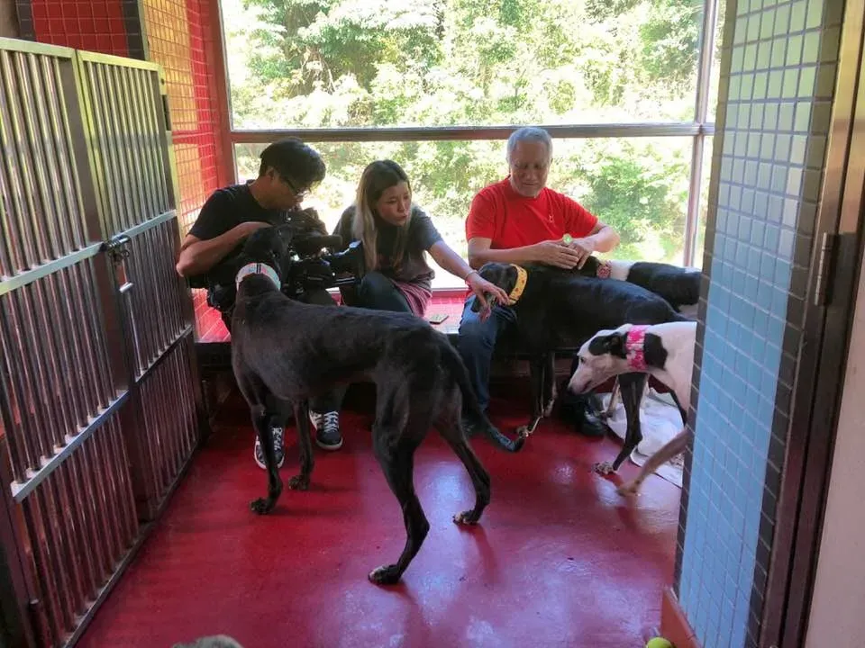 36483926 1606856342782389 2910168719059582976 n