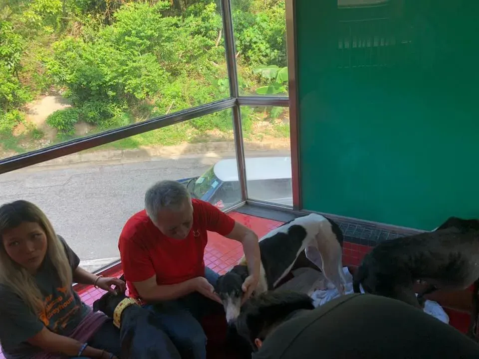 36498717 1606857136115643 462159758317584384 n