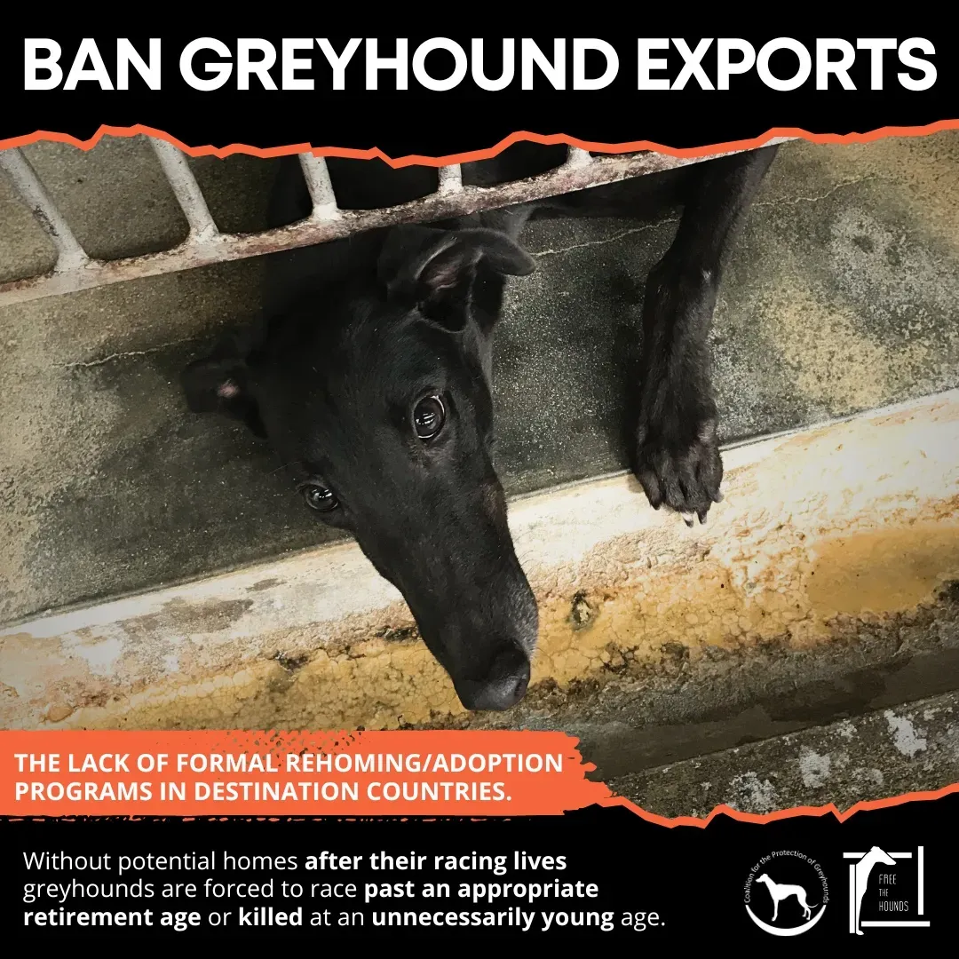 365301437 341223771572077 5660197084196765225 n