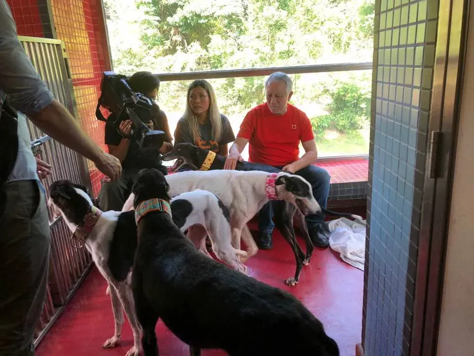 36531913 1606856782782345 3838727321171263488 n