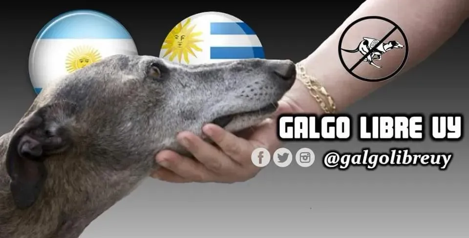 36570414 1906243742769558 4024884659912441856 n