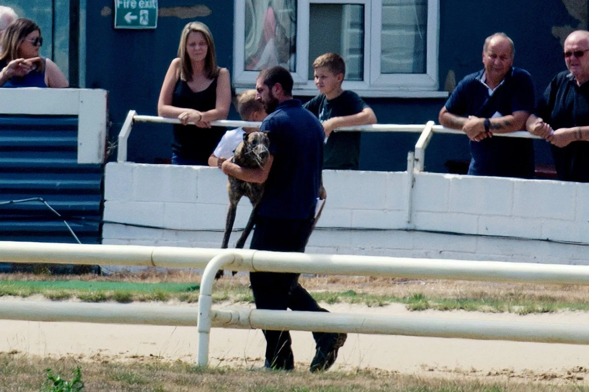 36614118 1737069456408605 5878213140340015104 n 1