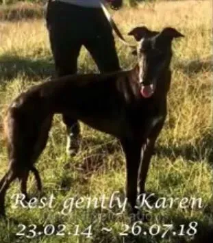 36614118 1737069456408605 5878213140340015104 n 5