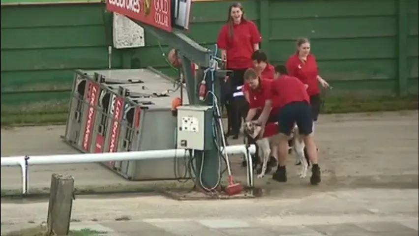 36614118 1737069456408605 5878213140340015104 n 2