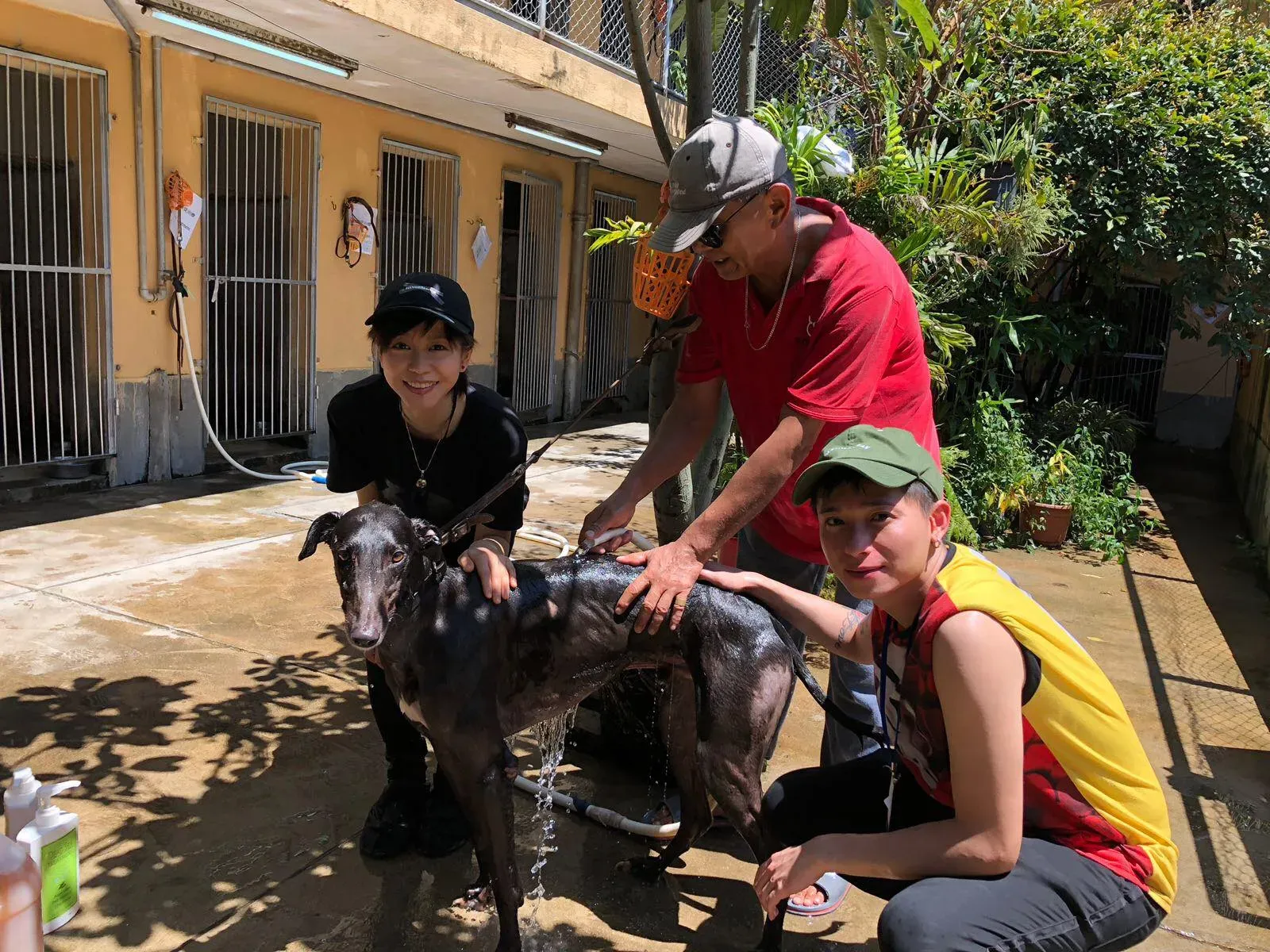 36614118 1737069456408605 5878213140340015104 n