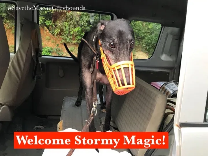 36628382 1614975928637097 1511085974245867520 n