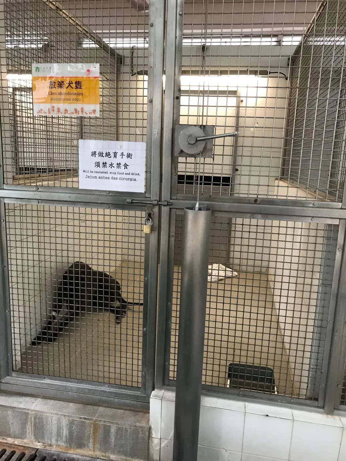 36663280 1616357291832294 8011682803974406144 o