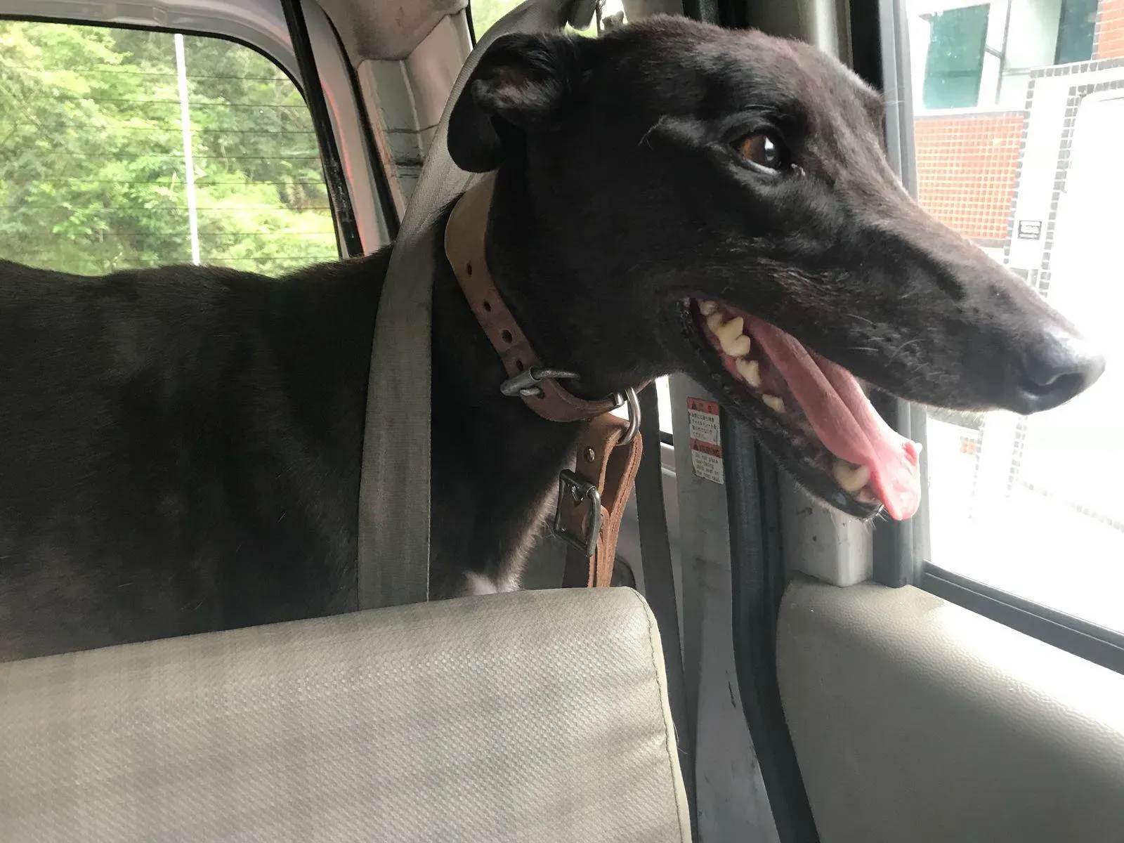 36663284 1616357148498975 7428199097242222592 o