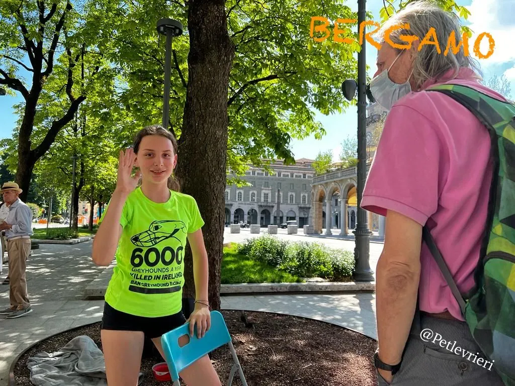 3666cc31 19d7 419c 8216 d449a2fe1cce risultato