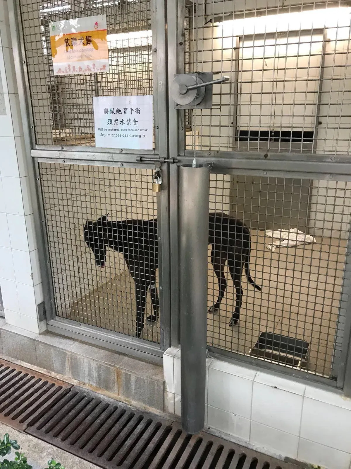 36680563 1616357288498961 8269466470497386496 o