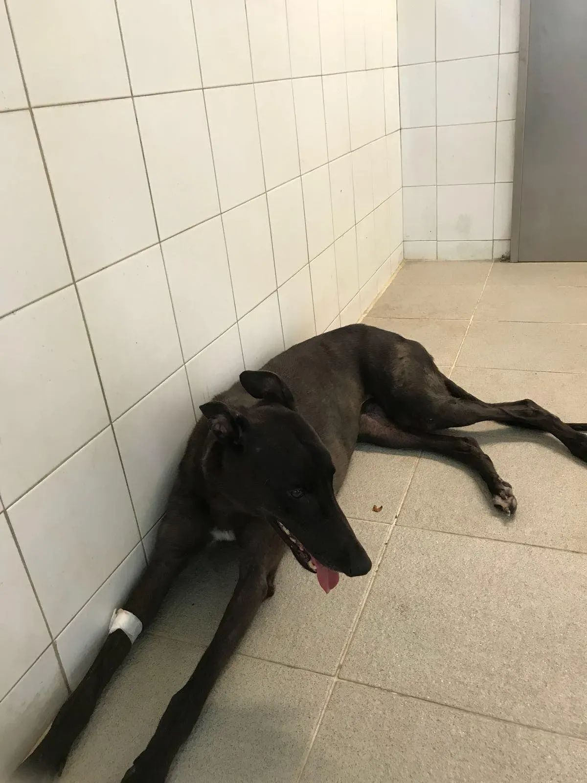 36689299 1616357198498970 7050912393819324416 o